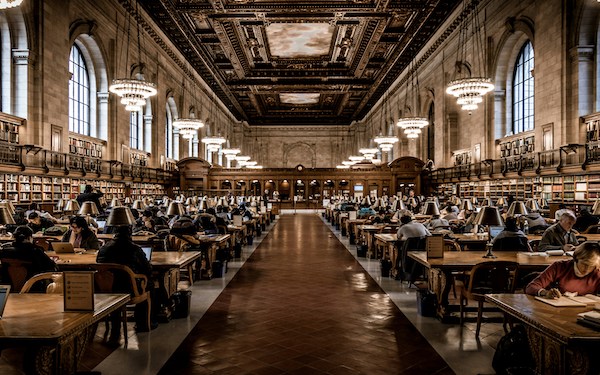 Stanford Payne Coaching - Continued Professional Development